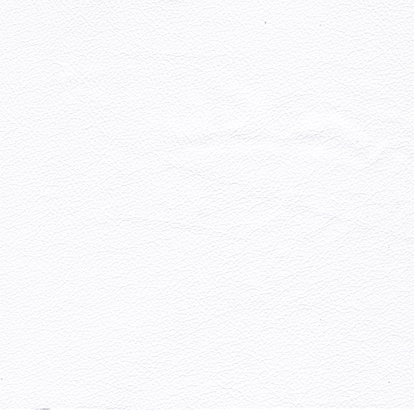 1012 white