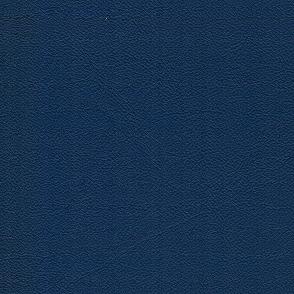 1307 blue