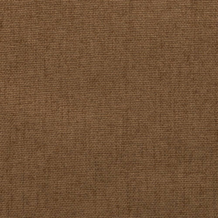 kenya camel 22
