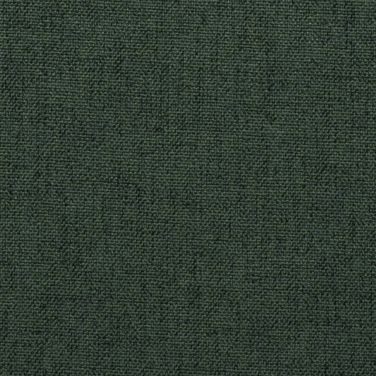 kenya forest 17