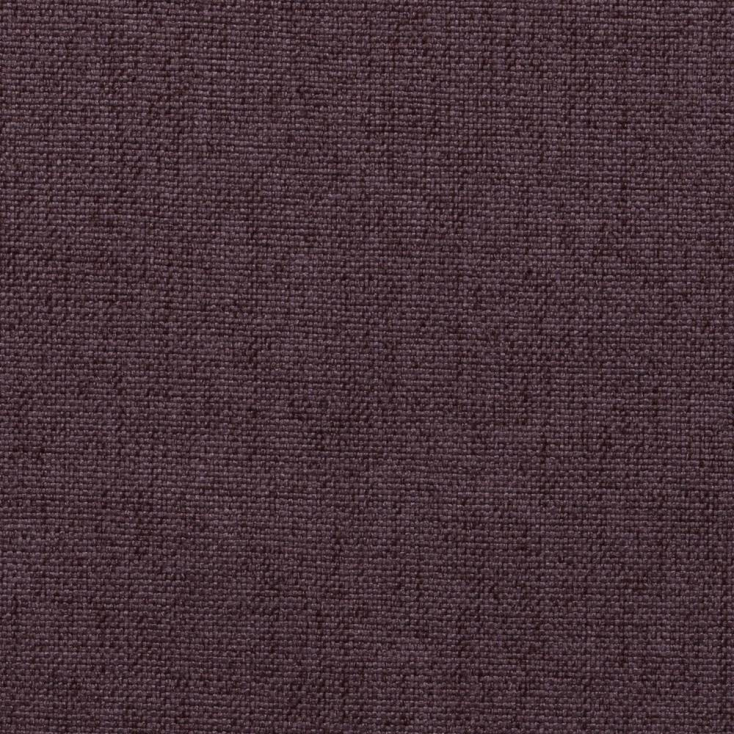 kenya purple 19
